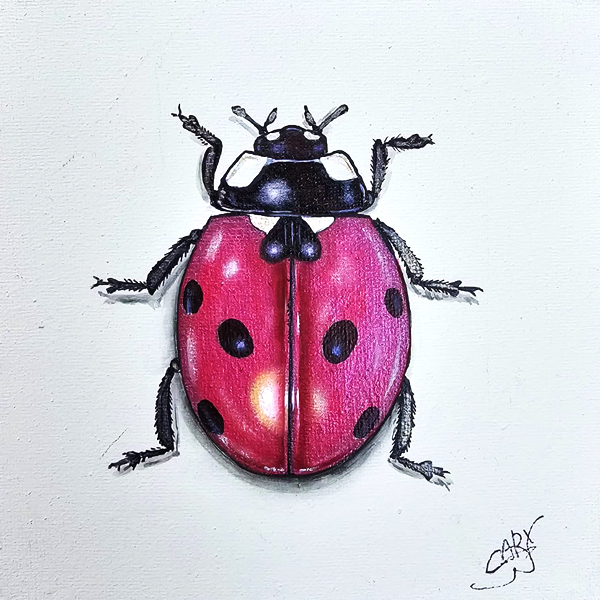 CaryPainting 視覺藝術證書課程 - 專業指導課程與視覺藝術教育